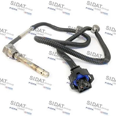 Sensor, exhaust gas temperature (L2256)