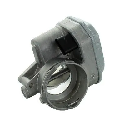 Throttle Body (L8031AS)
