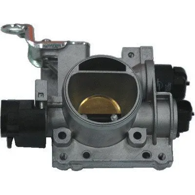 Throttle Body (L8065)