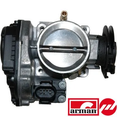 Throttle Body (L8019AS)