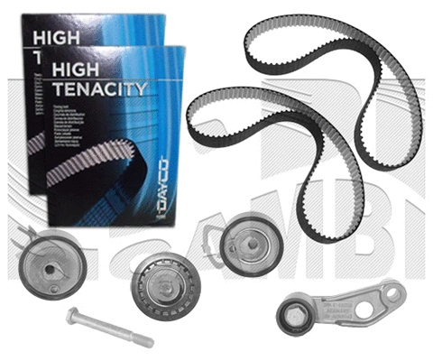 Timing Belt Kit (KAT1310)