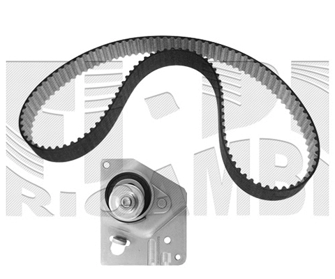 Timing Belt Kit (KAT1436)