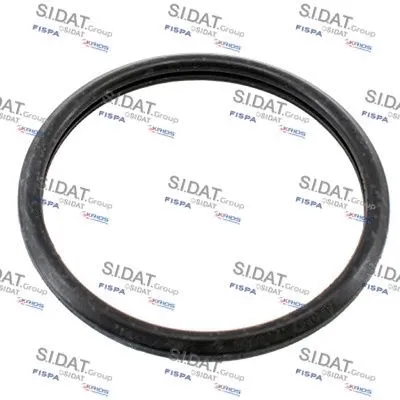 Seal, thermostat (M401685)