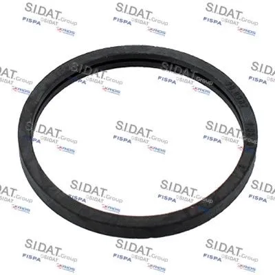 Seal, thermostat (M4016102)