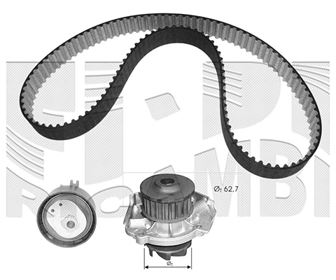 Water Pump & Timing Belt Kit (KATW1252B)