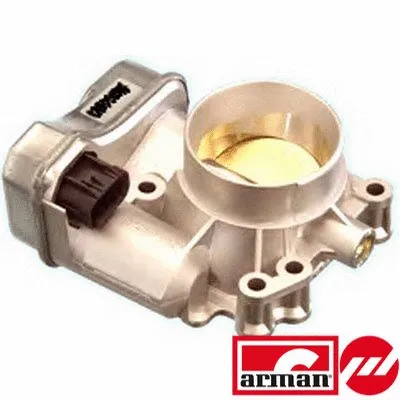 Throttle Body (L8034AS)