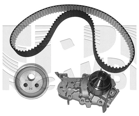Water Pump & Timing Belt Kit (KATW1142B)