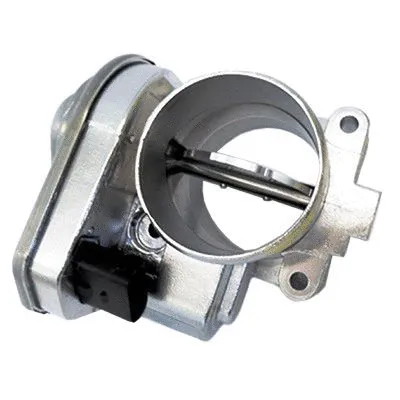 Throttle Body (L8226)