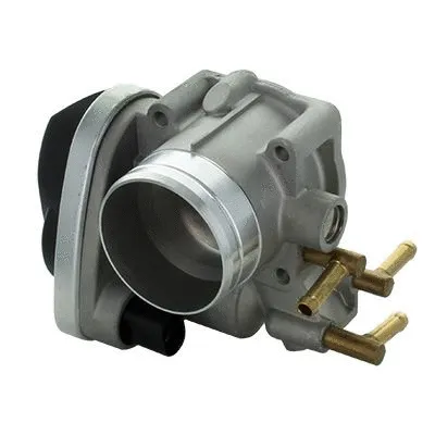 Throttle Body (L8397AS)