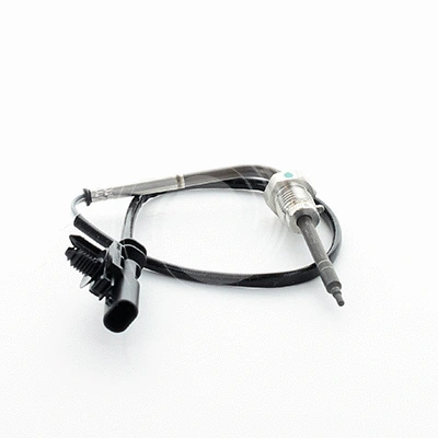 Sensor, exhaust gas temperature (L2199A2)