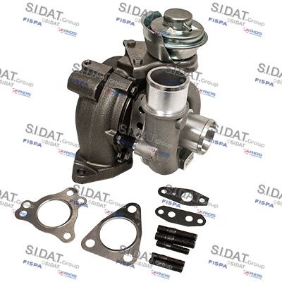 Charger, charging (supercharged/turbocharged) (D9479)