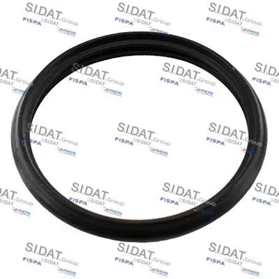 Seal, thermostat (M4016110)