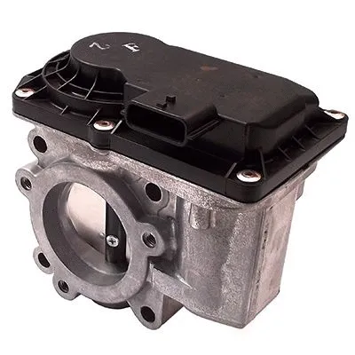 Throttle Body (L8133)