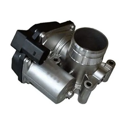 Throttle Body (L8051A2)