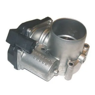 Throttle Body (L8050)