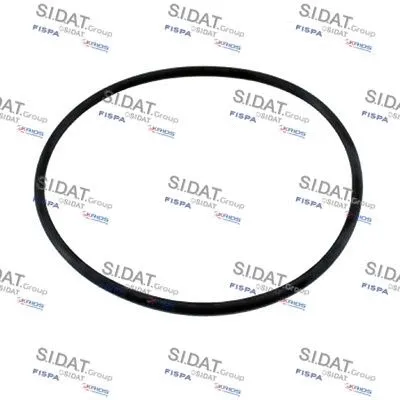 Seal, thermostat (M401655)