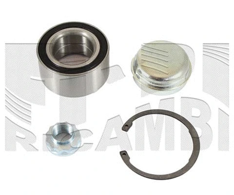 Wheel Bearing Kit (RA6731H)