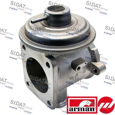 EGR Valve (L3923AS)