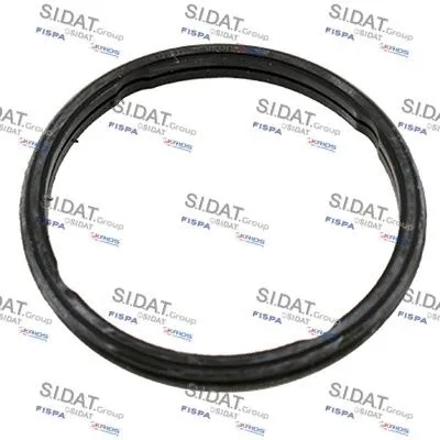 Seal, thermostat (M401693)