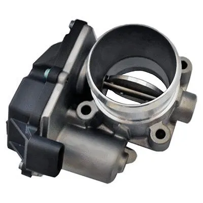 Throttle Body (L8309)