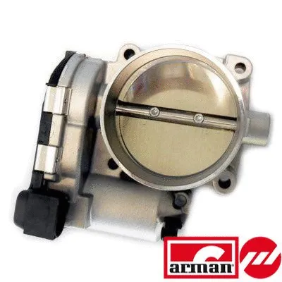 Throttle Body (L8241AS)
