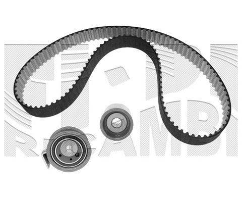 Timing Belt Kit (KAT1384)