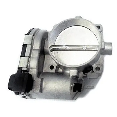 Throttle Body (L8216)