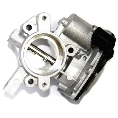 Throttle Body (L8153)
