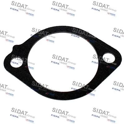 Seal, thermostat (M4016113)