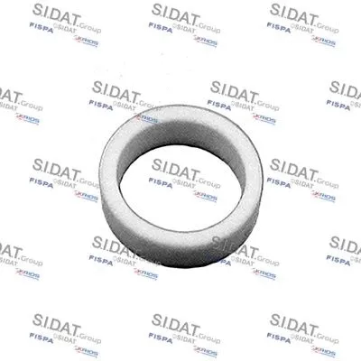 Seal Ring, injector (L1566)