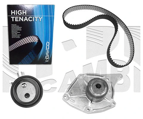 Water Pump & Timing Belt Kit (KATW1446)