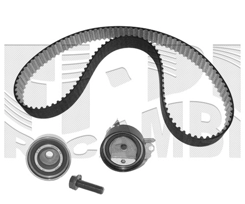 Timing Belt Kit (KAT1255)