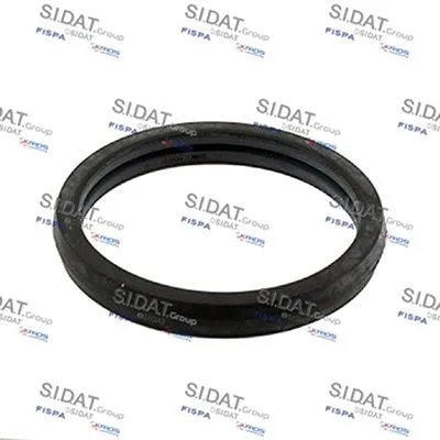 Seal, thermostat (M401694)