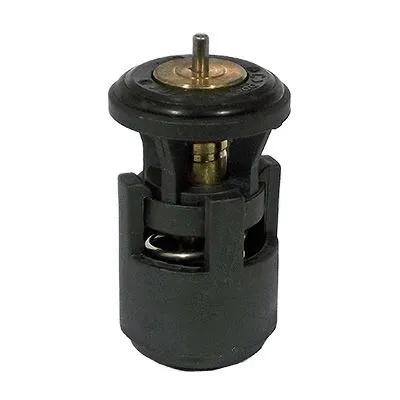 Thermostat, coolant (M4345)