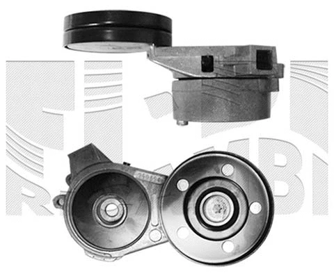 Belt Tensioner, V-ribbed belt (A05924)