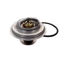 Thermostat, coolant (M4171)