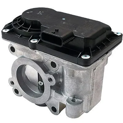 Throttle Body (L8132)