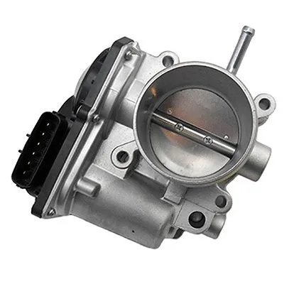 Throttle Body (L8312)