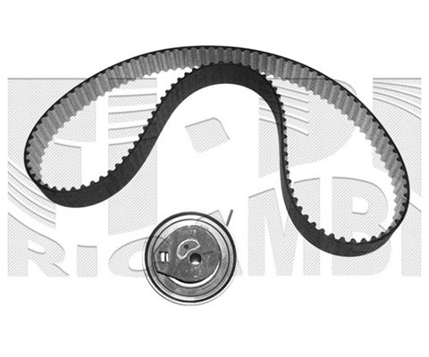 Timing Belt Kit (KAT1541)