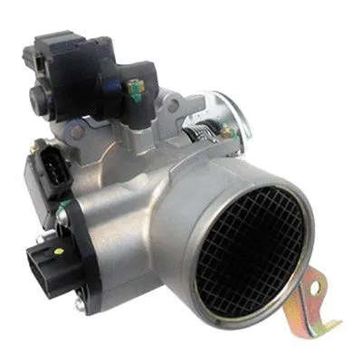Throttle Body (L8189)