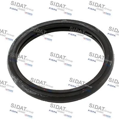 Seal, thermostat (M4016109)