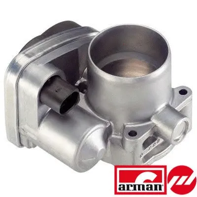 Throttle Body (L8029AS)