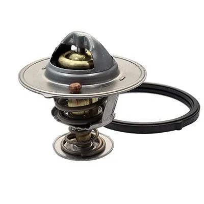 Thermostat, coolant (M4794)