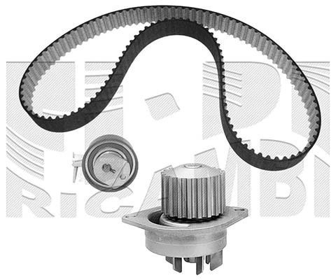 Water Pump & Timing Belt Kit (KATW1300)
