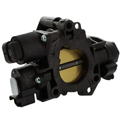 Throttle Body (L8214)