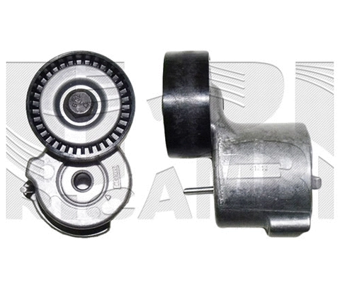 Belt Tensioner, V-ribbed belt (A08820)