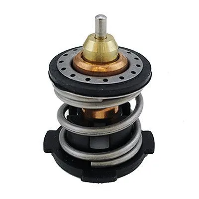 Thermostat, coolant (M4900)
