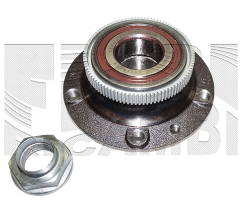 Wheel Bearing Kit (RA6716)