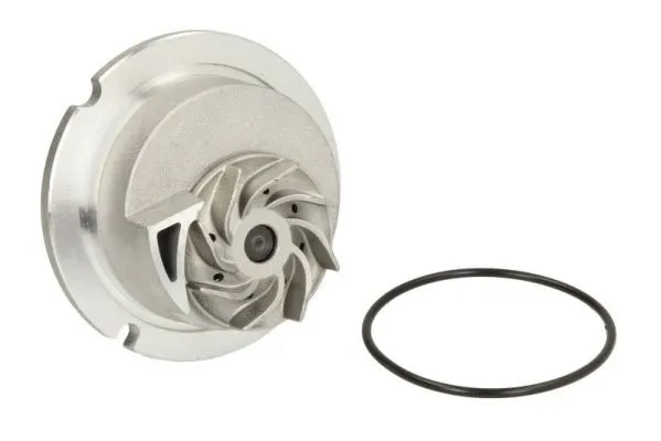 Water Pump, engine cooling (D1X029TT)