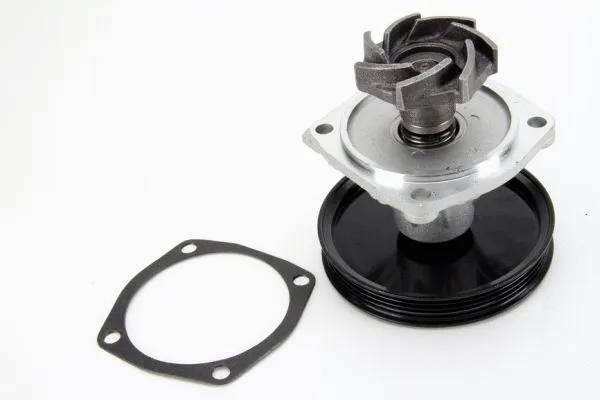 Water Pump, engine cooling (D1H015TT)